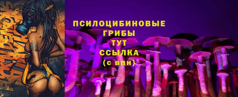 Псилоцибиновые грибы Psilocybine cubensis  как найти закладки  МЕГА рабочий сайт  Кубинка 